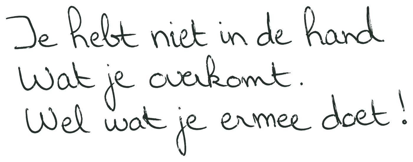 In mijn handschrift: je hebt niet in de hand wat je overkomt, wel wat je ermee doet.